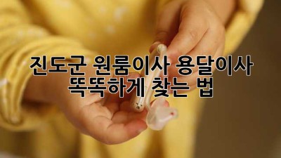 진도군 원룸이사, 용달이사 똑똑하게 찾는 법 🚚💨