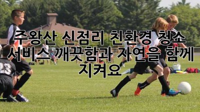 주왕산 신점리 친환경 청소 서비스: 깨끗함과 자연을 함께 지켜요! ✨